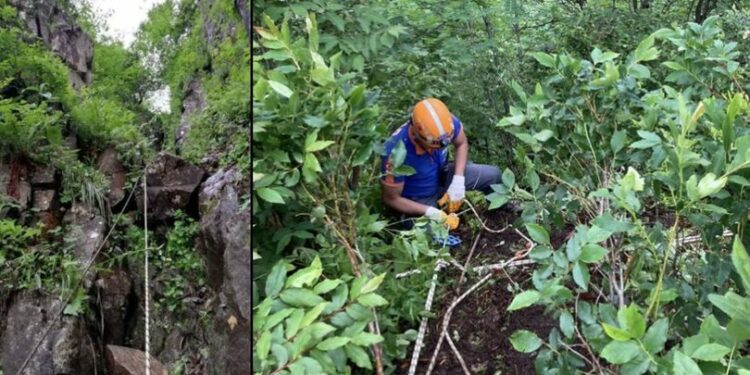 İneğiyle uçuruma düşen kadın öldü
