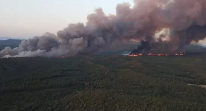 Marmaris’te orman yangını: “Yine bir felaketle karşı karşıya kalabiliriz”